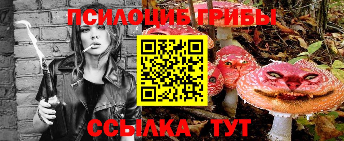 Псилоцибиновые грибы ЛСД Томск