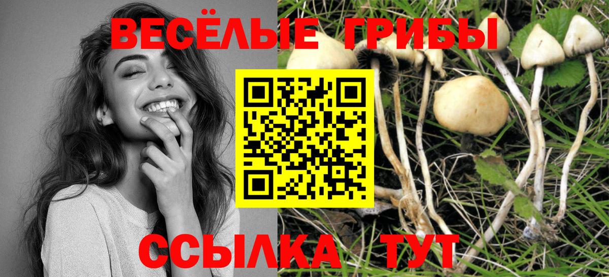 Галлюциногенные грибы GOLDEN TEACHER  Вход с VPN  что такое   Томск  Псилоцибиновые грибы прущие грибы 