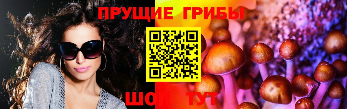 A-PVP Томск